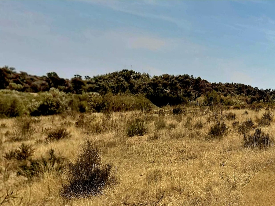 Commercial Property for Sale in Kimberley Rural Northern Cape